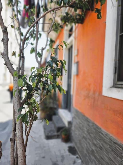 Marisol Home Katanya Dış mekan fotoğraf