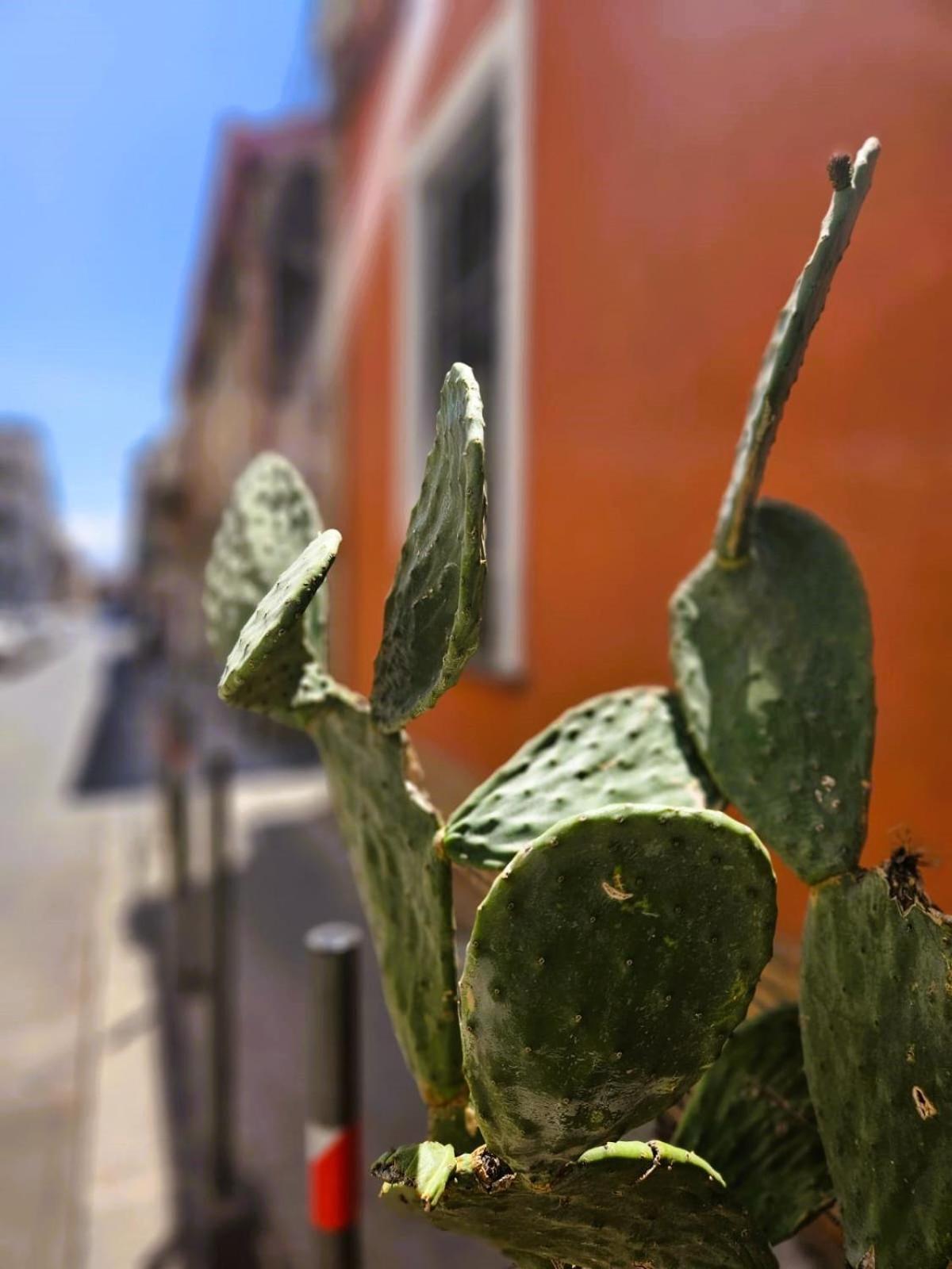 Marisol Home Katanya Dış mekan fotoğraf